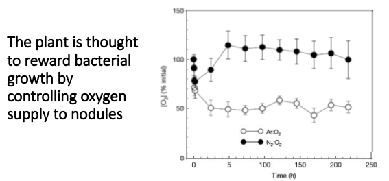 <p><span>This may lead to ‘cheating’ by bacteria, e.g. gaining benefit form the host plant without ‘paying for it’ in terms of N fixation.&nbsp;</span></p>