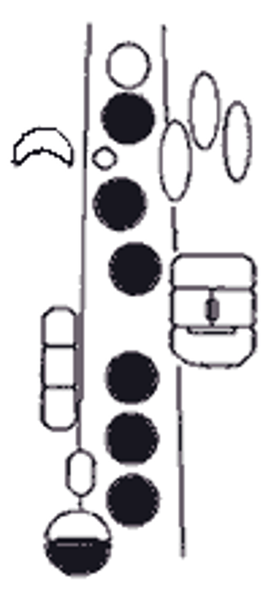 knowt flashcard image