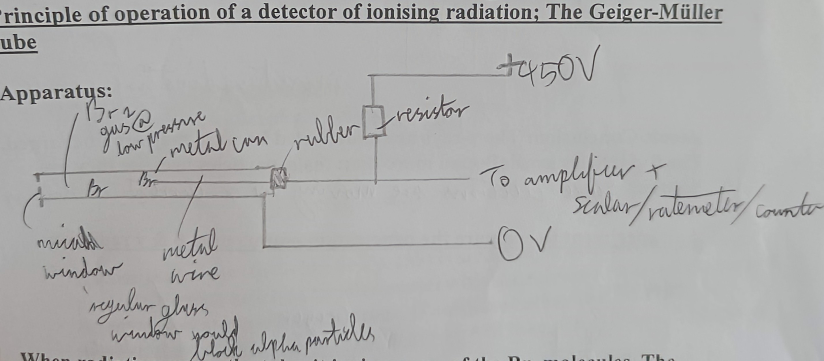 knowt flashcard image