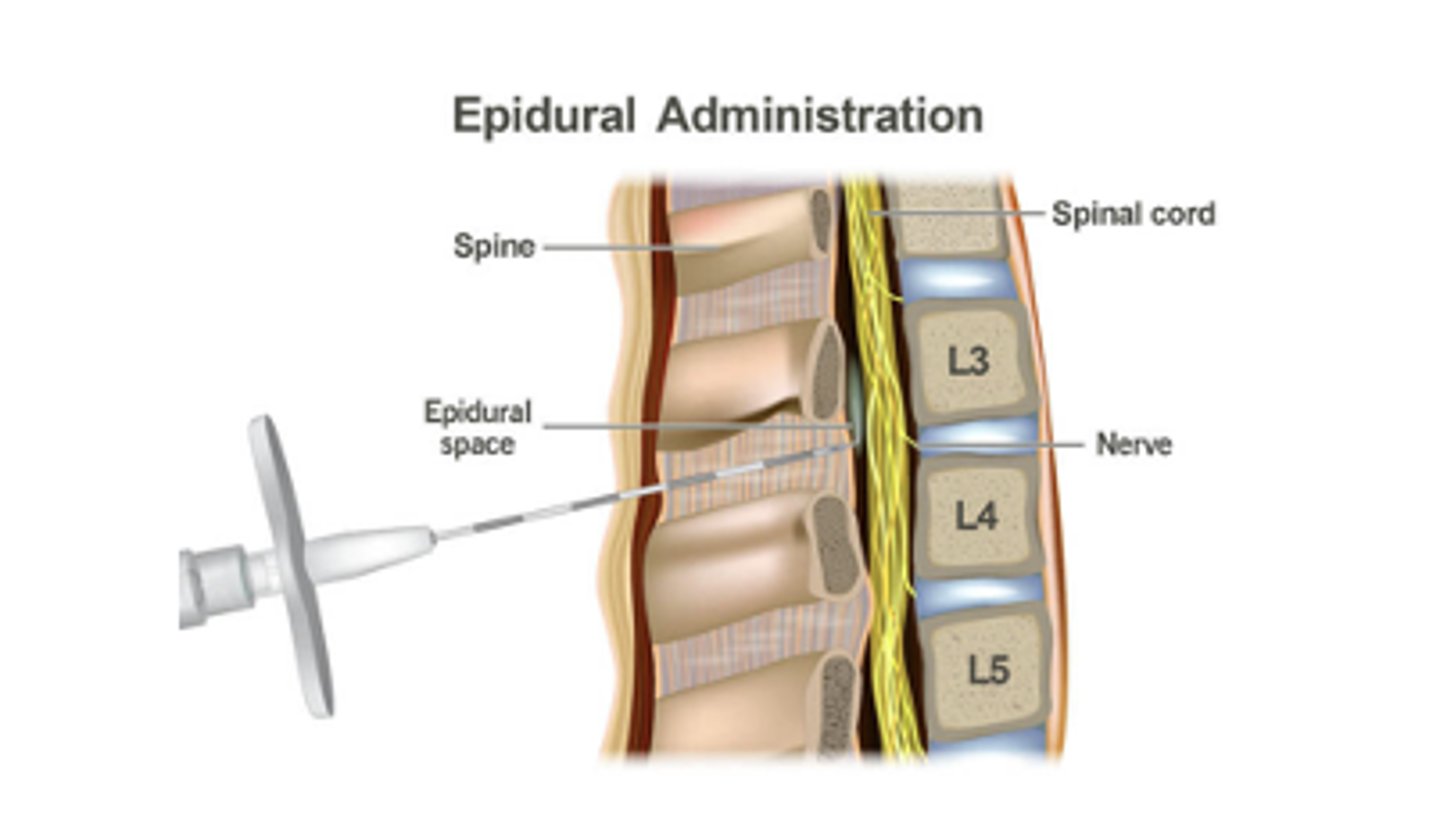 <p>100% availability in the CNS</p>
