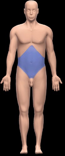 <p>abdomen (region inferior to the thorax and superior to the pelvic brim)</p>