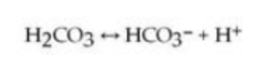 <p>One of the buffers that contribute to pH stability in human blood is carbonic acid (H2CO3). Carbonic acid is a weak acid that, when placed in an aqueous solution, dissociates into a bicarbonate ion (HCO3−) and a hydrogen ion (H+), as noted below. </p><p>If the pH of blood increases, one would expect ________.</p><p>A) a decrease in the concentration of H2CO3 and an increase in the concentration of HCO3−</p><p>B) an increase in the concentration of H2CO3 and a decrease in the concentration of HCO3−</p><p>C) a decrease in the concentration of HCO3− and an increase in the concentration of H+</p><p>D) an increase in the concentration of HCO3− and a decrease in the concentration of OH−</p><p>E) a decrease in the concentration of HCO3− and an increase in the concentration of H2CO3 and H+</p>
