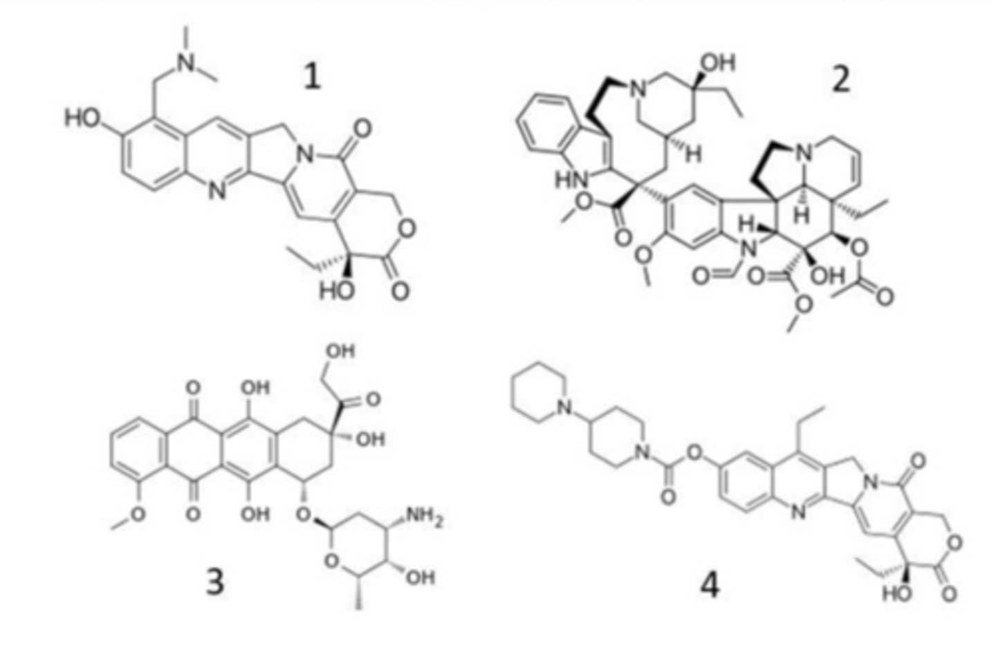 <p>Which one is the antineoplastic antibiotic</p>