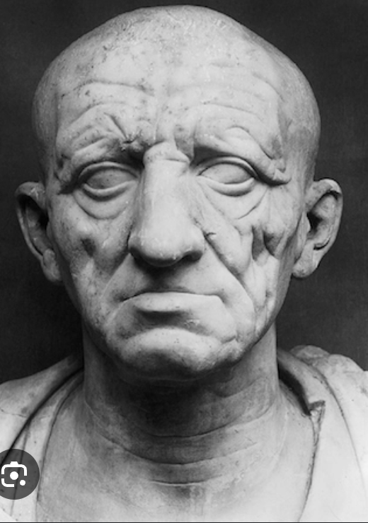 <p>Head of a Roman Patrician from Otricoli</p>