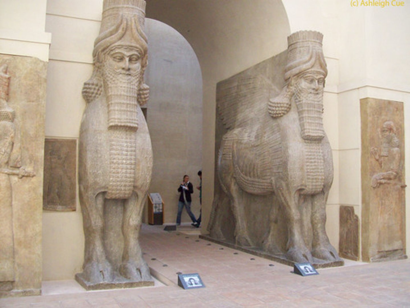 <p>a colossal winged human-headed bull in Assyrian art</p>