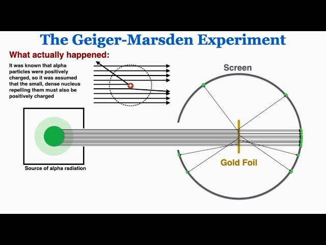 <p>1909: He was the father of the nuclear age and he fired positively charged alpha particles at a sheet of gold and expected all particles to go through but some bounced back and deflected, concluded that atoms are mostly empty space and that most matter is concentrated at the centre(nucleus), negatively charged particles in some “cloud” around nucleus.</p>