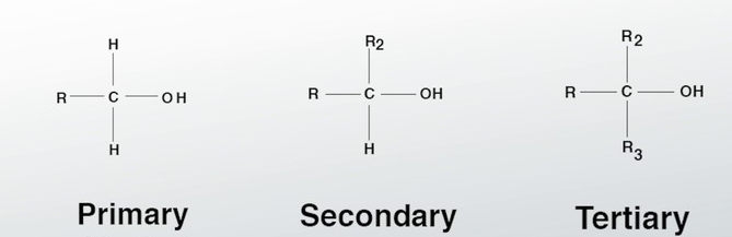 <p>Any molecule with a hydroxyl group that is connected to a saturated carbon atom.</p><p>Primary ____ have only one extra molecule attached, 2 hydrogen ones and a hydroxyl group</p><p>Secondary ____ have two extra molecules attached, 1 hydrogen and one hydroxyl</p><p>Tertiary ____ have 3 extra molecules attached, 0 hydrogen and one hydrxyl.</p>