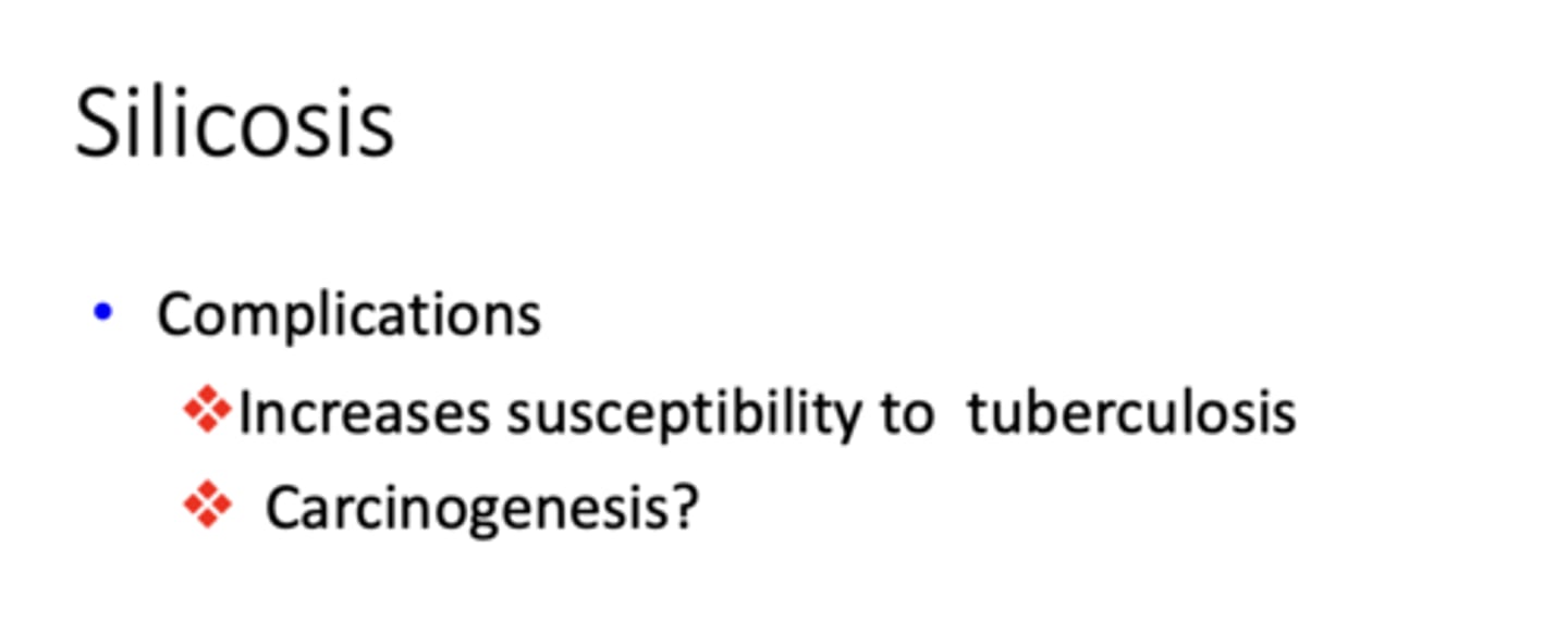 <p>Silicosis</p>