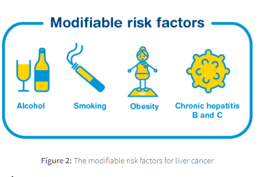<p>incidence of liver cancer has been increasing due to</p>