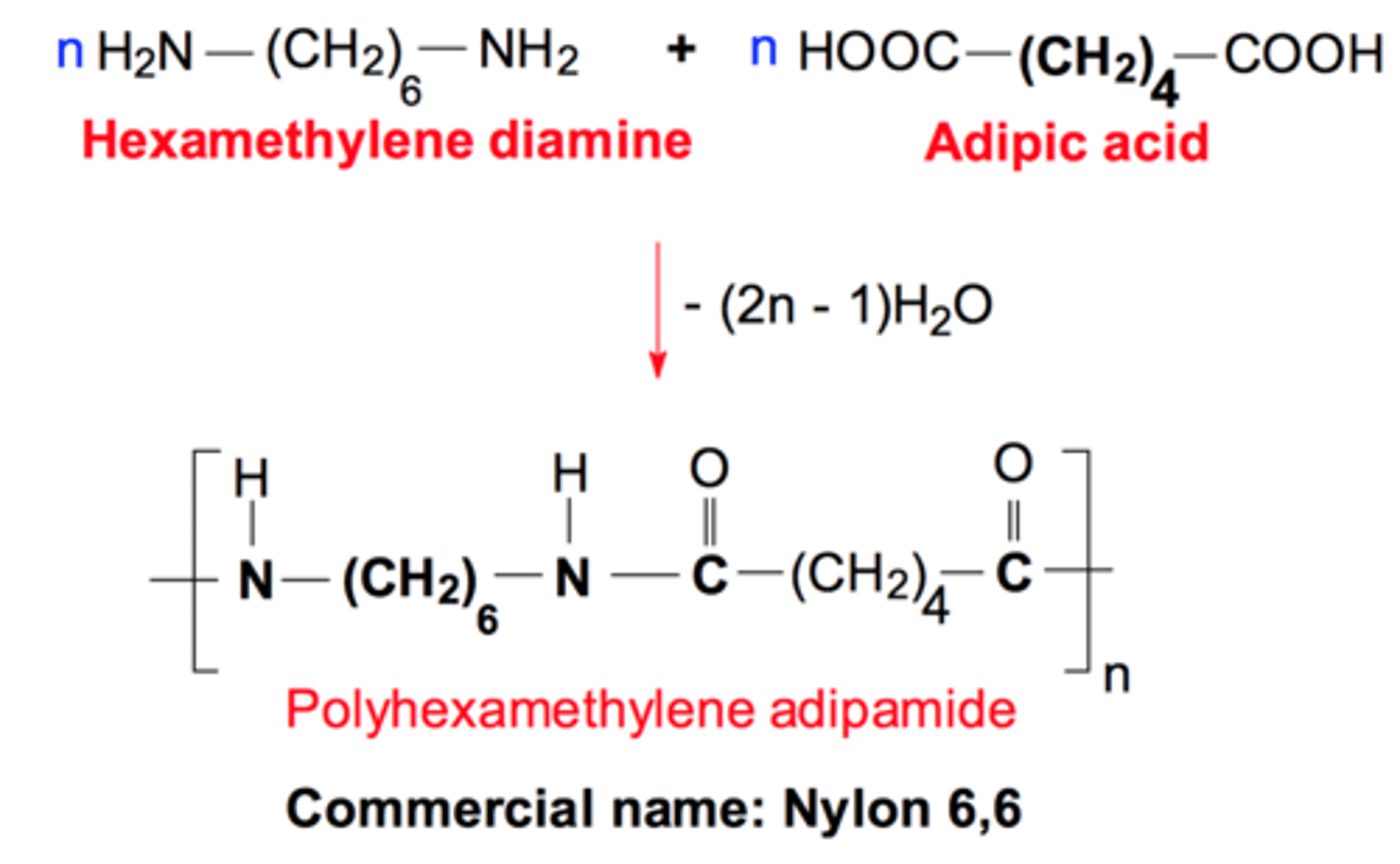 <p>1,6-diaminohexane and hexane-1,6-dicarboxylic acid</p><p>used for fibres in clothing, ropes and parachutes</p>