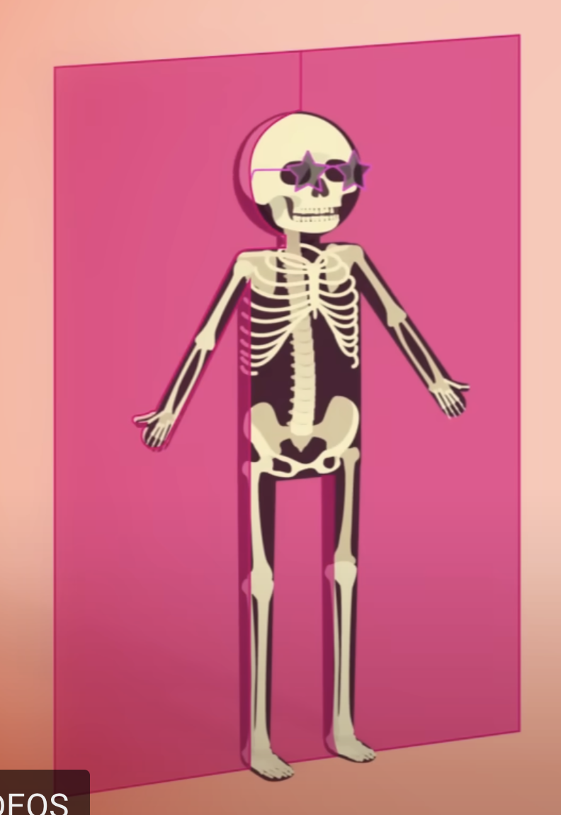 <p>A vertical plane that divides the body into the<strong> front (anterior) and back (posterior)</strong></p>