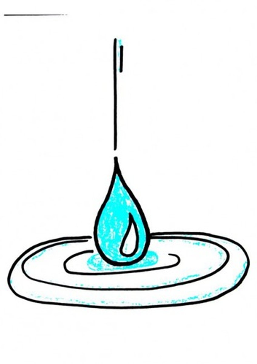 <p>крапля</p>
