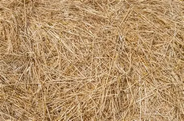 <p>pros</p><p>warm</p><p>animals can create nesting areas</p><p>cons</p><p>can appear messy</p><p>if stored in sheds can become damp</p>