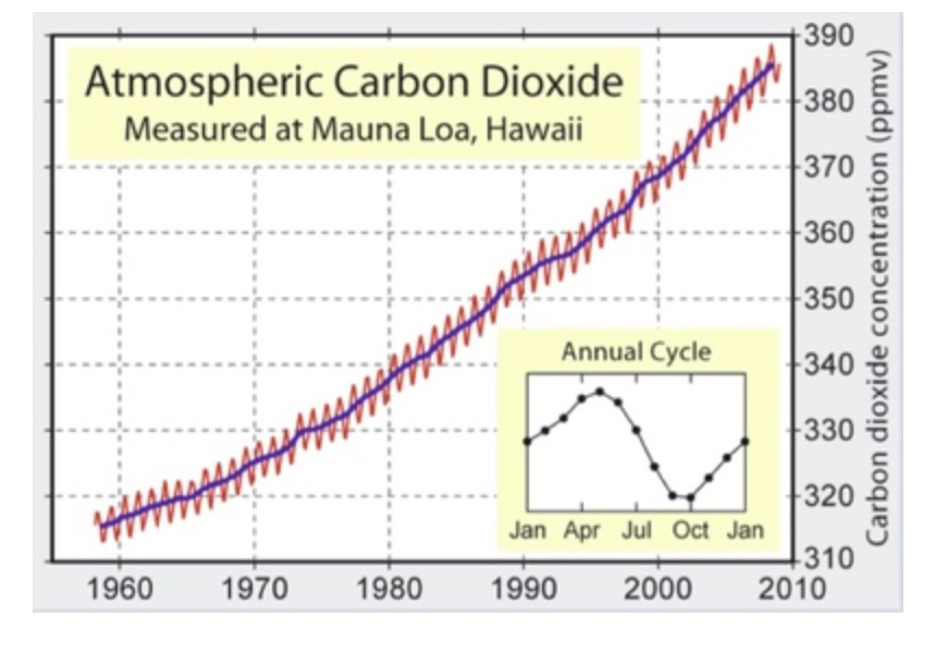 <p>The figure shows observations of atmospheric CO2 concentrations made at Mauna Loa, Hawaii. The trend in atmospheric CO2 concentrations observed over this period is caused by _________</p><p>A. The greenhouse effect</p><p>B. Changes in global photosynthesis</p><p>C. The burning of fossil fuels by industrial activities</p><p>D. Melting ice sheets</p><p>E. Variability in the flux of energy output by the sun</p>