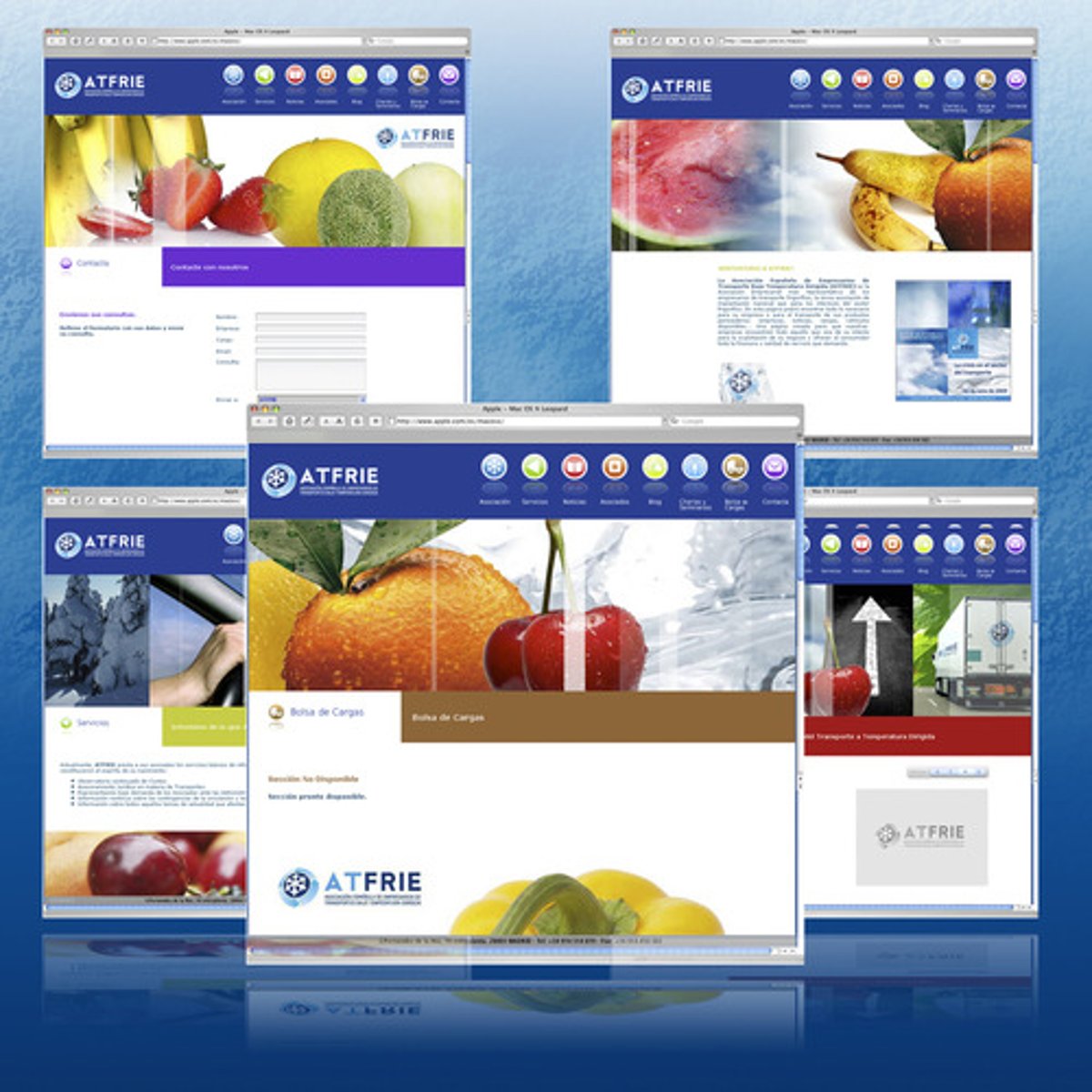 <p>to create a Web page</p>