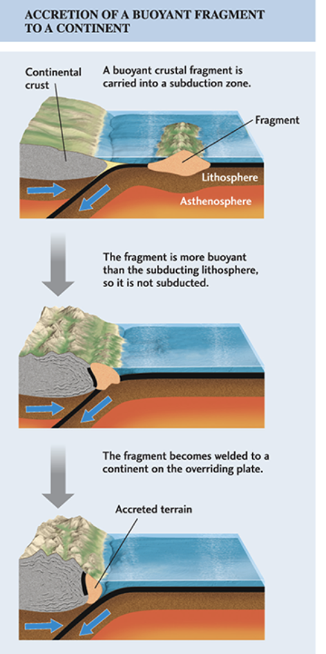 <p>Buoyant crust pieces that can't sink get transferred from one plate to another (can be small land bits or thickened oceanic crust sections)</p>