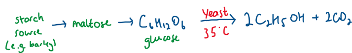 <p></p><ul><li><p>Yeast provides - zymase </p></li><li><p>no air → prevent oxidation of ethanol</p></li><li><p>yeast is killed at 15%</p></li><li><p>35 degrees allowing the enzyme to work</p><p></p></li></ul><p></p>