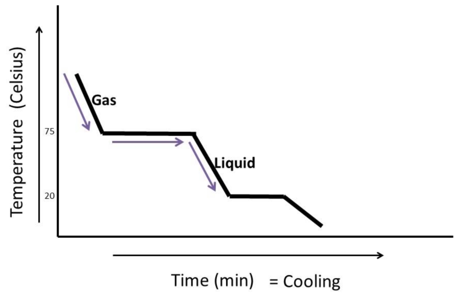 <p>flat sections represent state changes</p><p class="has-focus">sloped sections represent temperature changes</p>