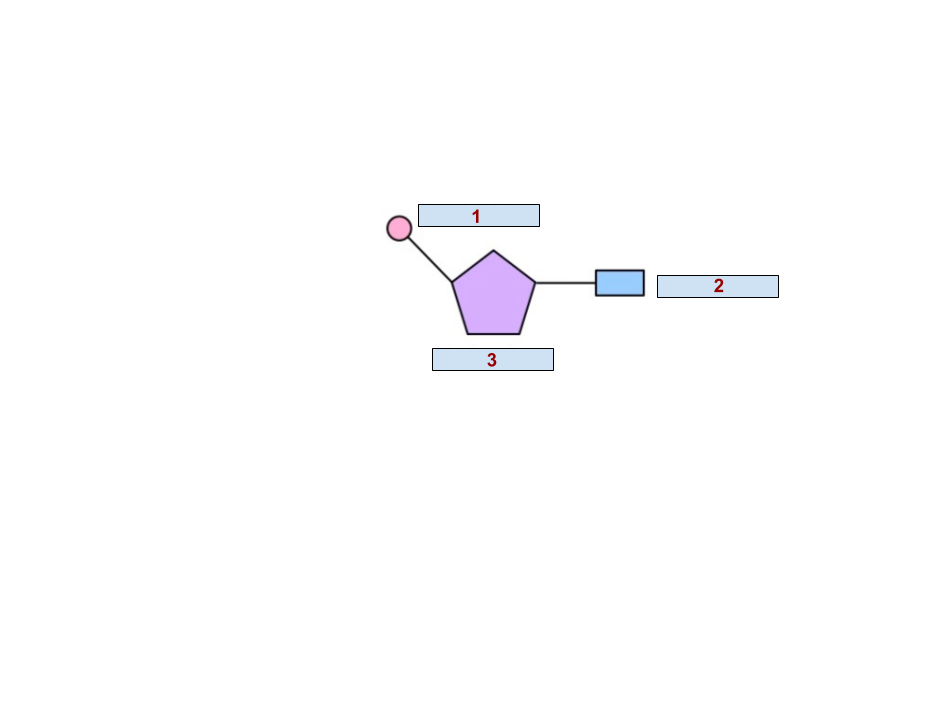 <p>1 (DNA)</p>