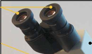 <p>Name this Part?</p>