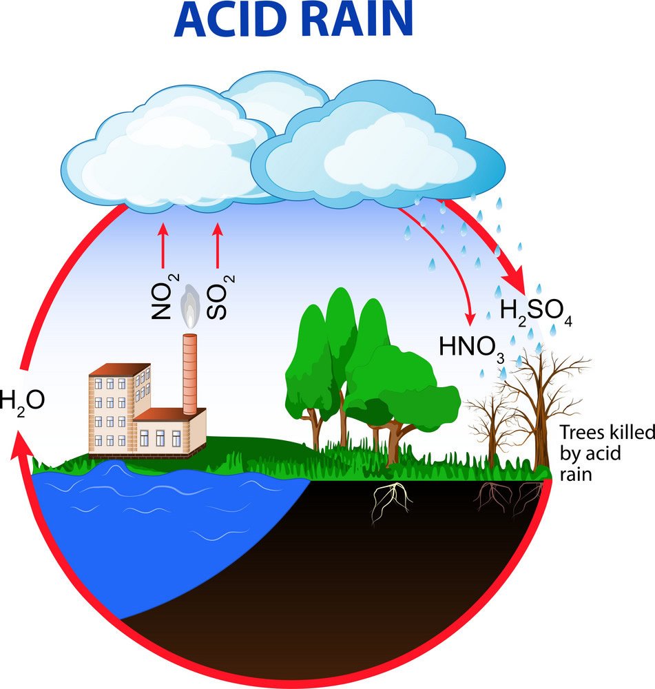<p>The transfer of atmospheric acids to Earth's surface and impacts water and soil.</p>