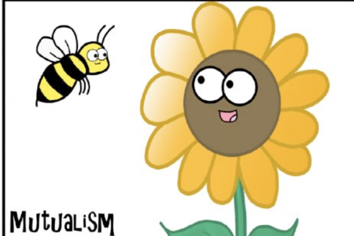 <p>Both organisms benefit </p>