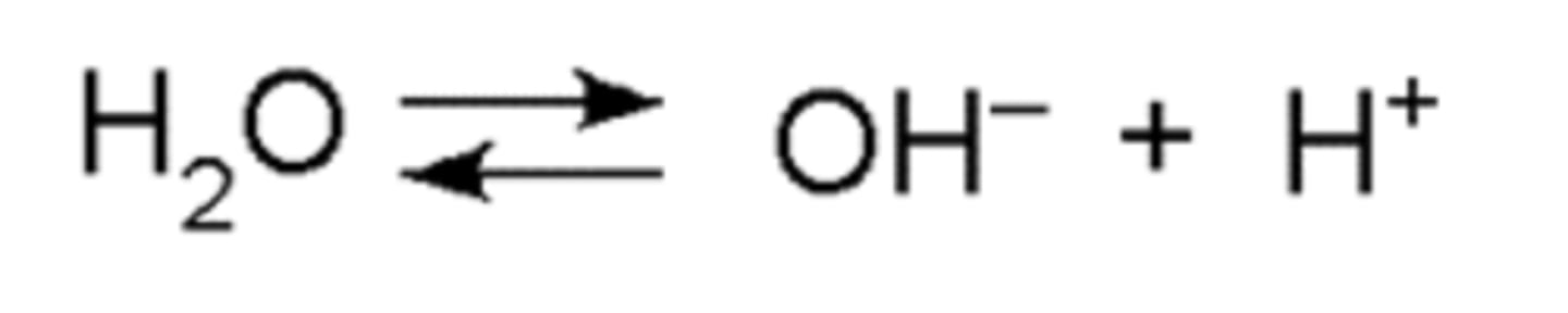 <p>H20 = OH^- + H^+</p>
