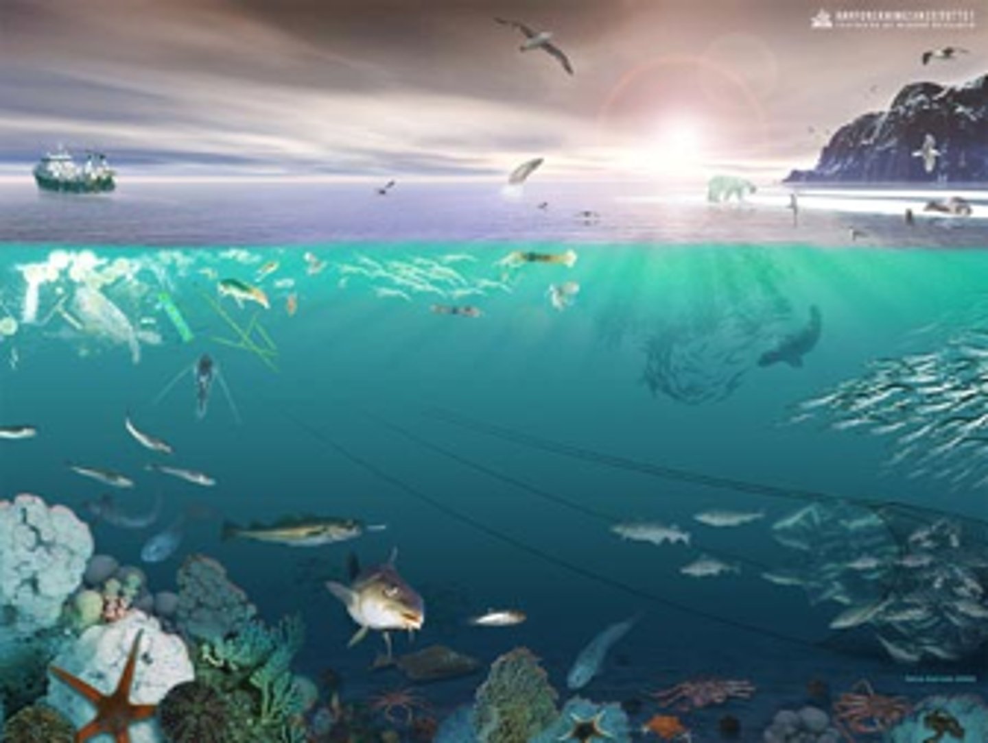 <p>The combination of all the living organisms (biotic factors) and non-living conditions (abiotic factors) in an environment</p>