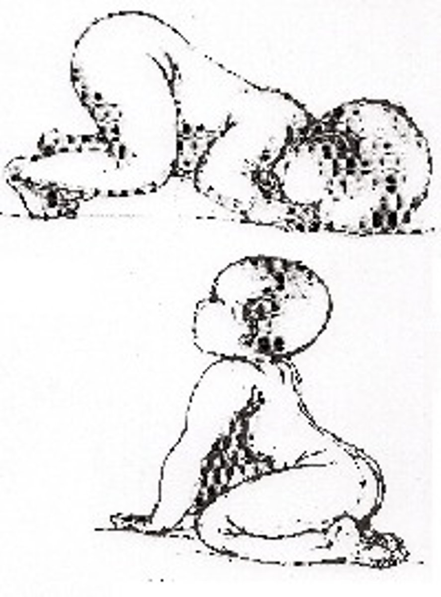 <p>(dog under fence)</p><p>flexion of head creates flexion of UE</p><p>extension of head creates extension of UE</p><p>opposite motion of head happens with LE</p>
