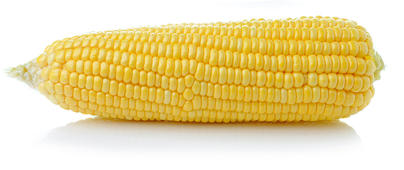 <p>Corn</p>