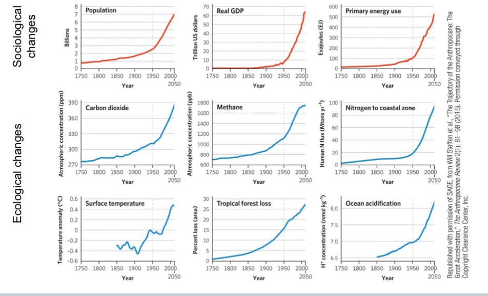 <p><span>In the Anthropocene, human impact has grown to the point that it has changed the course of Earth’s history for millennia. Human actions dominate the planet and have led to a biological world that is rapidly shifting towards an unknown future state.</span></p>