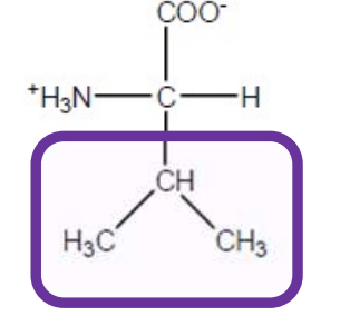 <p>Val-V-hydrophobic and aliphatic i.e non polar,not charged and not aromatic </p>