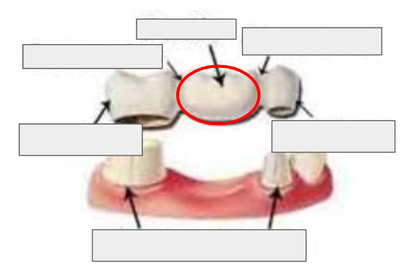 <p>What is this?</p>