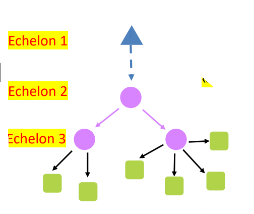 <p>They consolidate, distribute and store.</p>