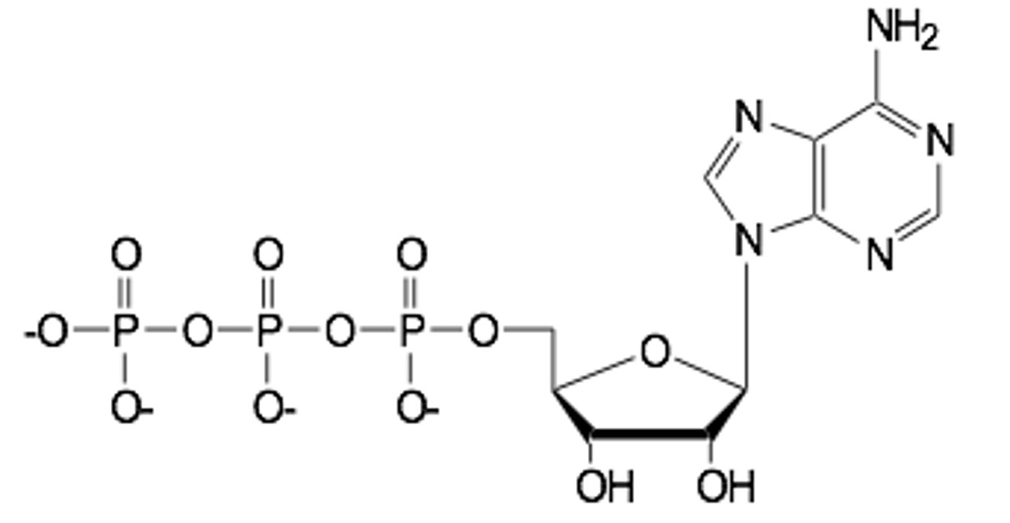 knowt flashcard image