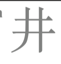 term image