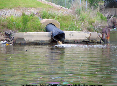 <p>Consider the example of river pollution in class. Why are environmental economics decisions so complex?</p>