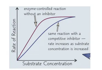<p>What happens if substrate concentration is increased when there is a competitive inhibitor</p>