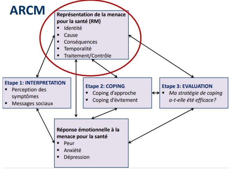 <p>Postule que les patients atteints de maladies chroniques <strong>construisent une représentation de leur maladie</strong> afin de lui donner un sens</p>