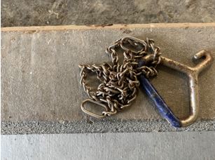 Species? Function? Name?