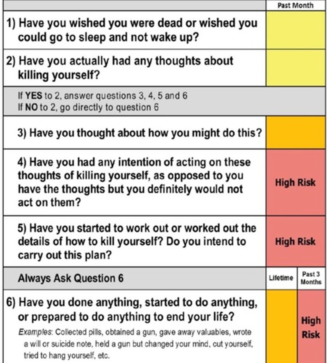 <p>Suicide assessment questionnaire in-depth</p>