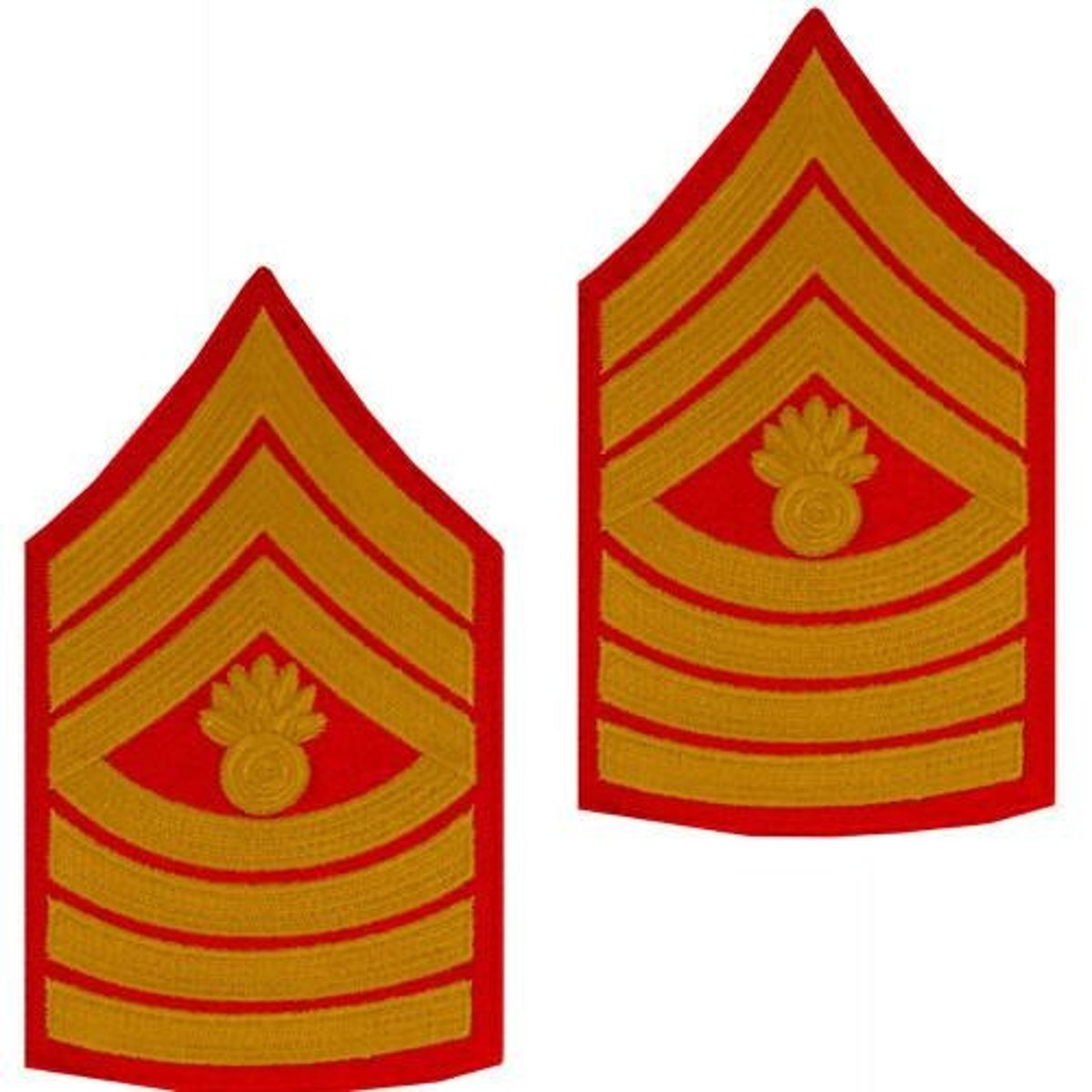 <p>Master Gunnery Sergeant or Sergeant Major</p>