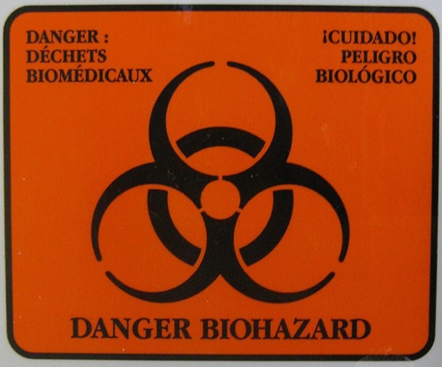<p>the risk associated with biological materials</p>