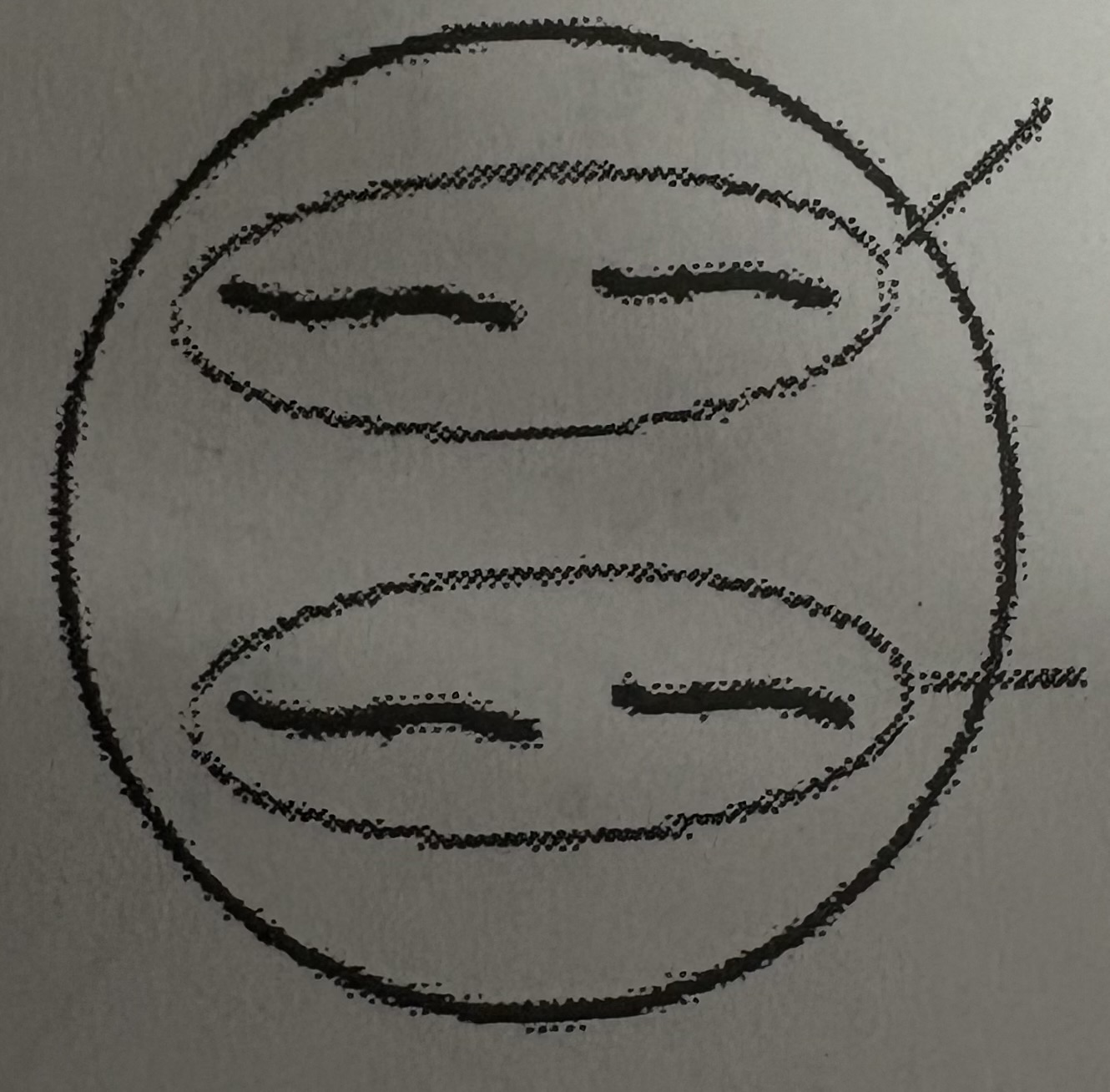 <p>What phase of meiosis is this?</p>