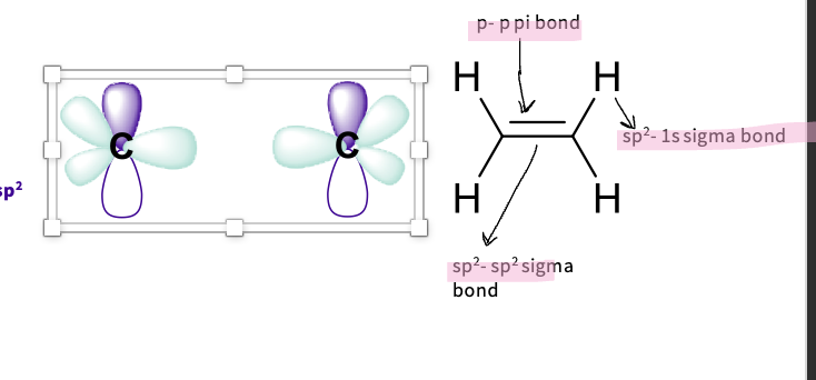 <ul><li><p>carbon has sp2 hybridization</p></li><li><p>Three sigma (σ) bonds with:</p><p style="text-align: left;">  -two hydrogen 1s orbitals</p><p style="text-align: left;">  -one carbon – carbon  hybridised orbital</p><p style="text-align: left;">  -requires 3 hybridised orbitals:</p><p style="text-align: left;">  <strong>Uses 2p<sub>x, </sub>2p<sub>y </sub>orbitals</strong></p><p style="text-align: left;"><strong>  Each has 1/3 s character and 2/3 p character – sp<sup>2</sup></strong></p><p style="text-align: left;"><strong><sup>  </sup>Trigonally arranged - all in one plane because of x,y</strong></p></li></ul><p></p><p>note - 2pz left unchanged as a p orbital forms a Pi bond ( double bond)</p><p></p>