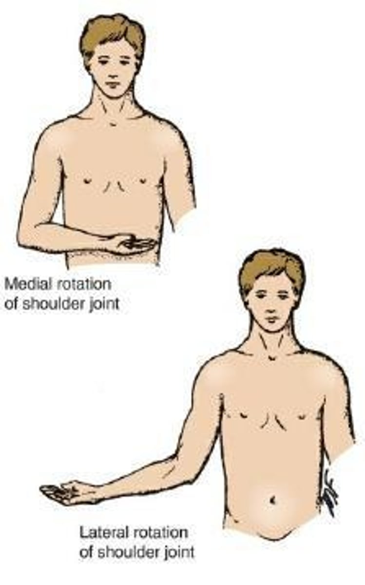 <p>The movement of a part of the body around its long axis, with little to no movement through space.</p>