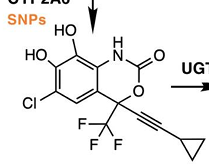 <p>what metabolite of efavirenz is this</p>