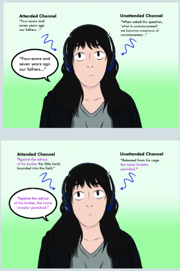<p>focusing on one ear results in poor processing of the other ear</p><p>can also result in switching sentence fragments, bc we <u>dont completely</u> ignore everything (treisman)</p>