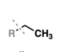 <p><em>all</em> sp3 carbons </p>