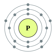 <p>P (15)</p>